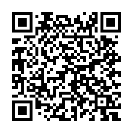 QR code for 495DWS