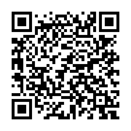 QR code for 495NCH