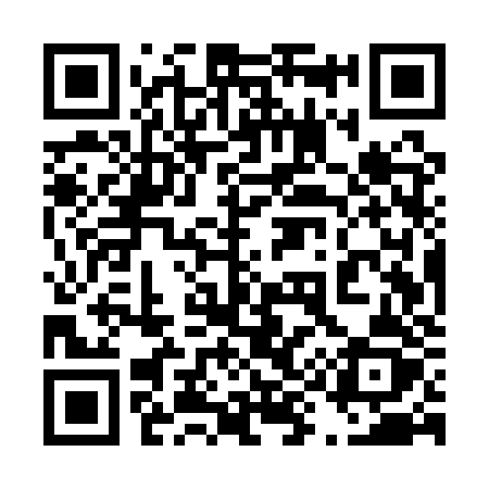 QR code for 495QZZ