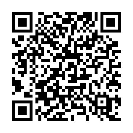 QR code for 495RCE