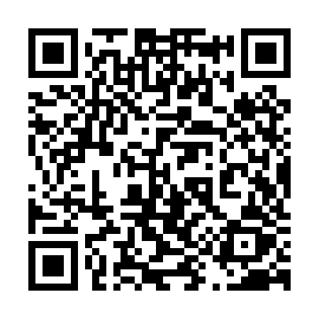 QR code for 499PZZ