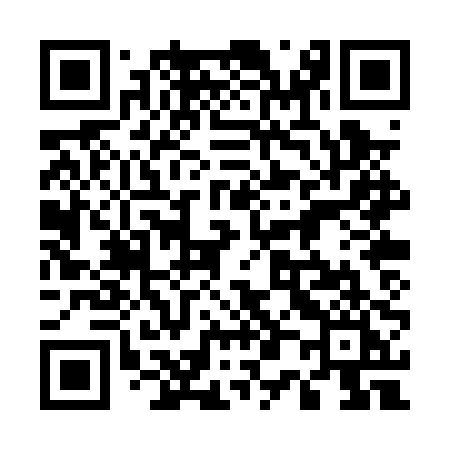 QR code for 500PPI