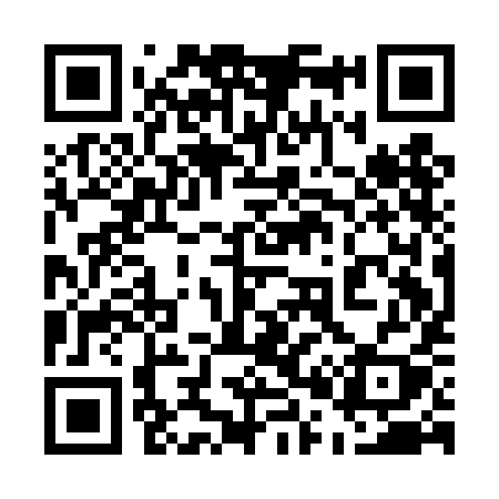 QR code for 501DIY