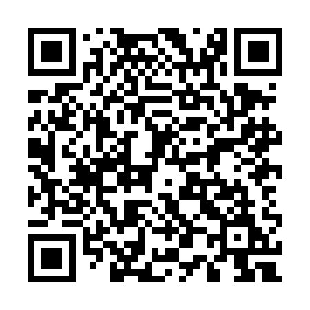 QR code for 508DAM
