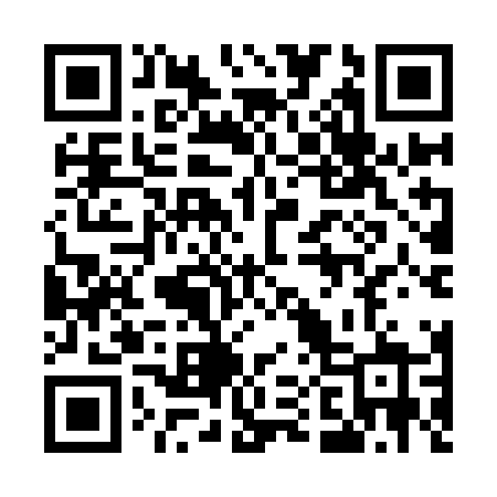 QR code for 509INZ