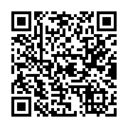 QR code for 509YSL