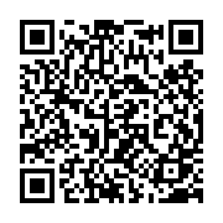 QR code for 511DPS