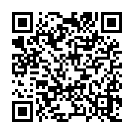 QR code for 511MIZ