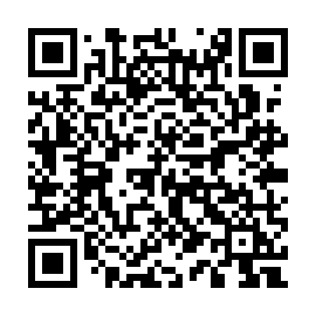 QR code for 511QMI