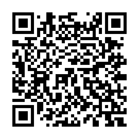 QR code for 511TMG