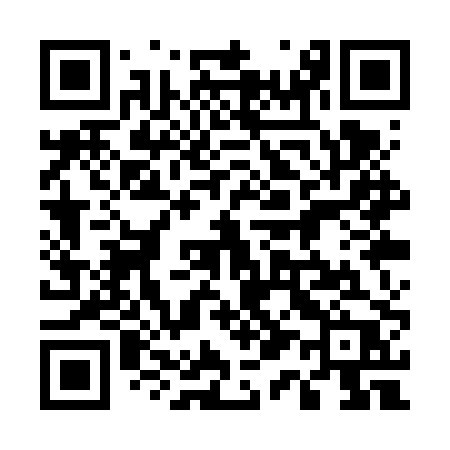 QR code for 511VPP