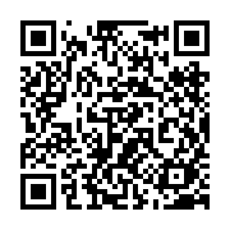 QR code for 519RIM
