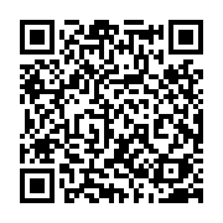 QR code for 520LSI