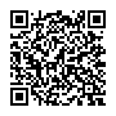 QR code for 520PDI