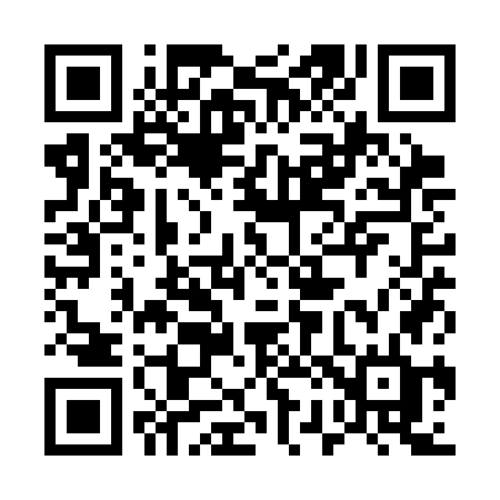 QR code for 521SGD