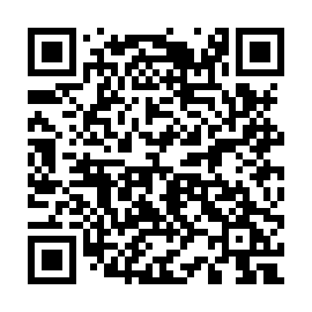 QR code for 523HPG