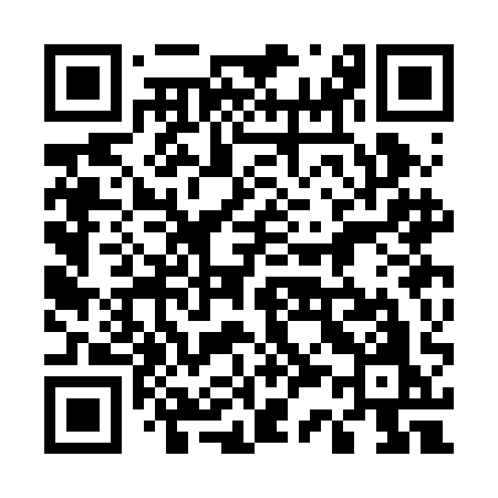 QR code for 533BAO