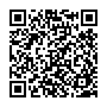 QR code for 533DIG