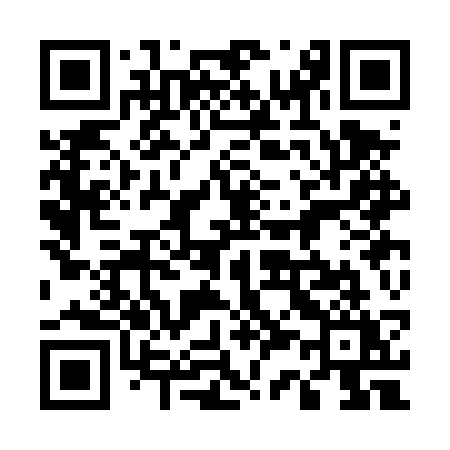 QR code for 533DSY