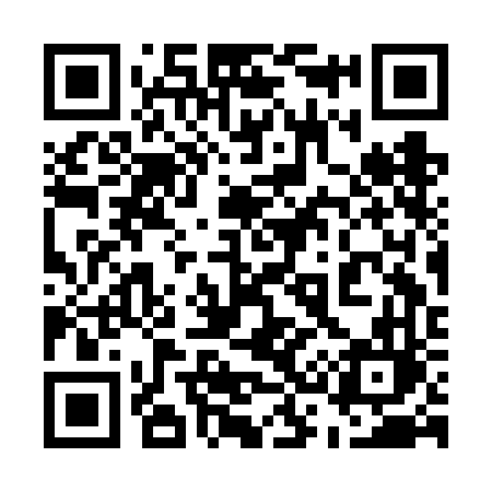 QR code for 533FFL