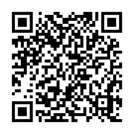 QR code for 533IGZ