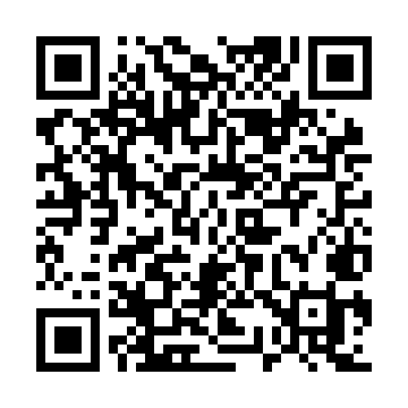 QR code for 533NMI