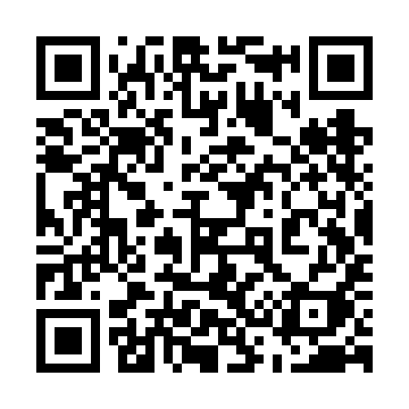QR code for 533VII