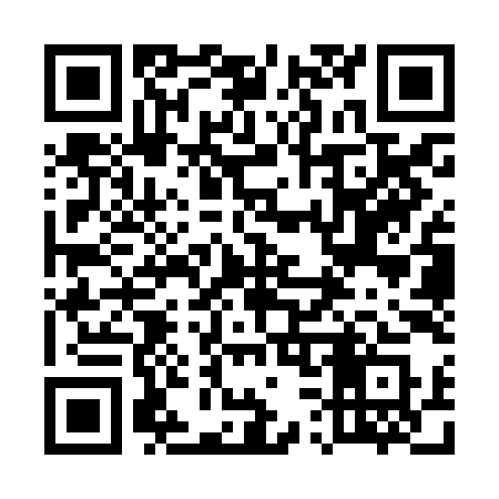 QR code for 533ZIS