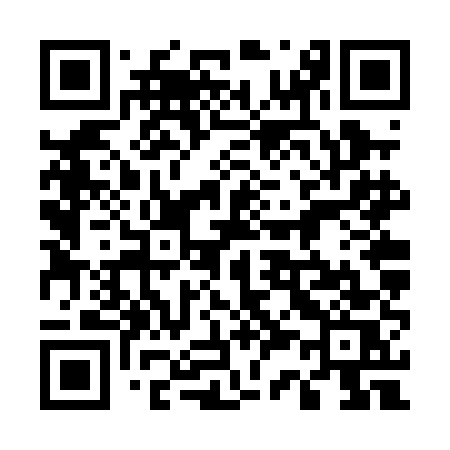 QR code for 536PES