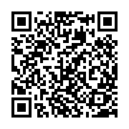 QR code for 538PMZ