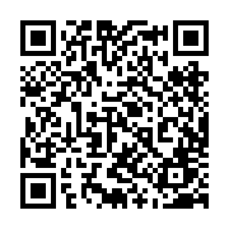 QR code for 540ROV