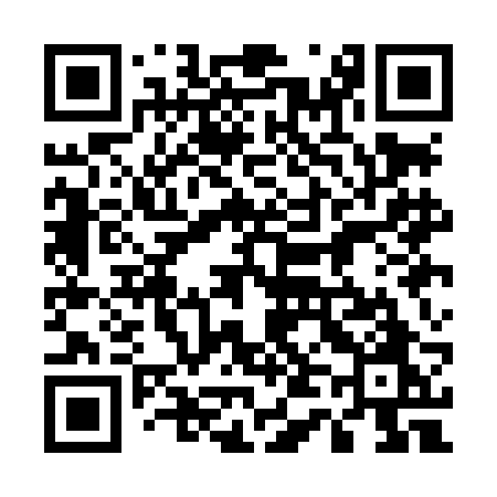 QR code for 541LBO