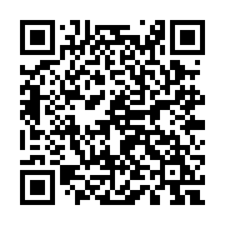QR code for 541PFM