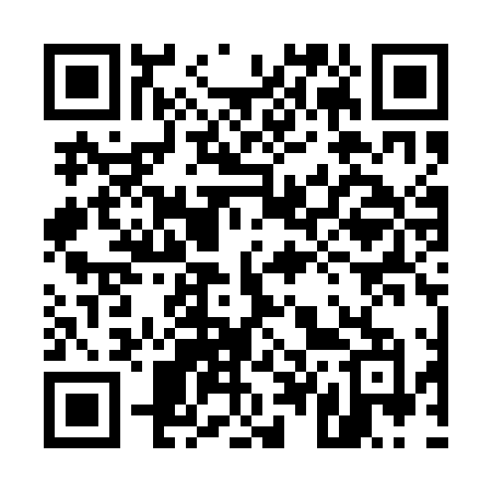 QR code for 541QLM