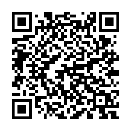 QR code for 541VGT