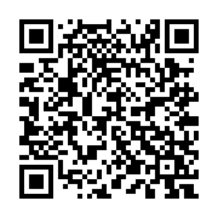QR code for 553PLU