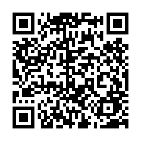 QR code for 555DMD