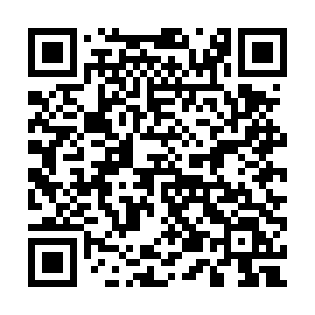 QR code for 555DTL