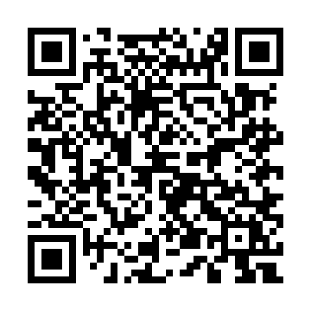 QR code for 555MLX