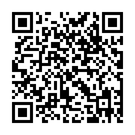 QR code for 573API