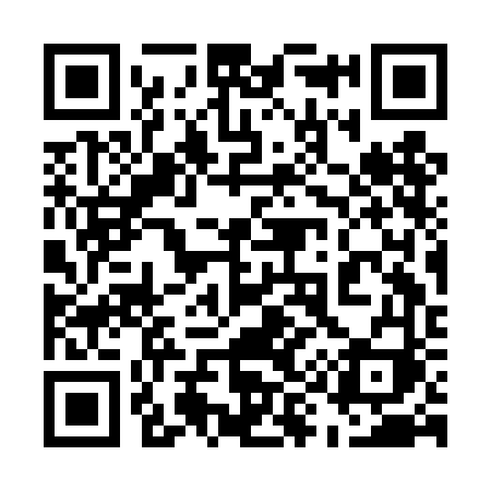 QR code for 593DFI