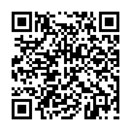 QR code for 593SPP