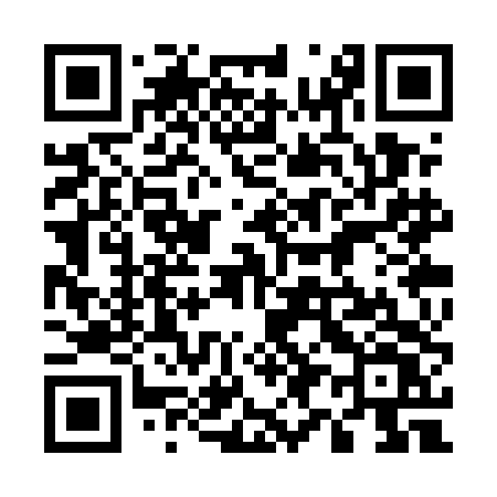 QR code for 593UDV