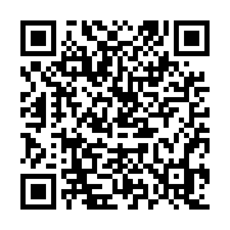 QR code for 593UFO