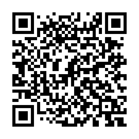 QR code for 595DCT