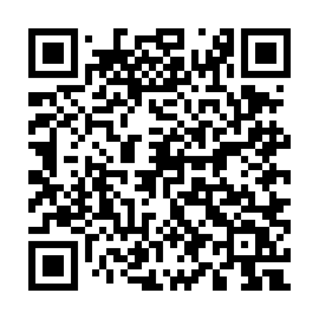 QR code for 595DLT