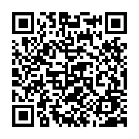 QR code for 595LOD
