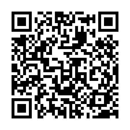 QR code for 595PEK