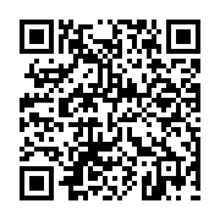 QR code for 595WPP