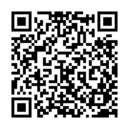 QR code for 603ZIN